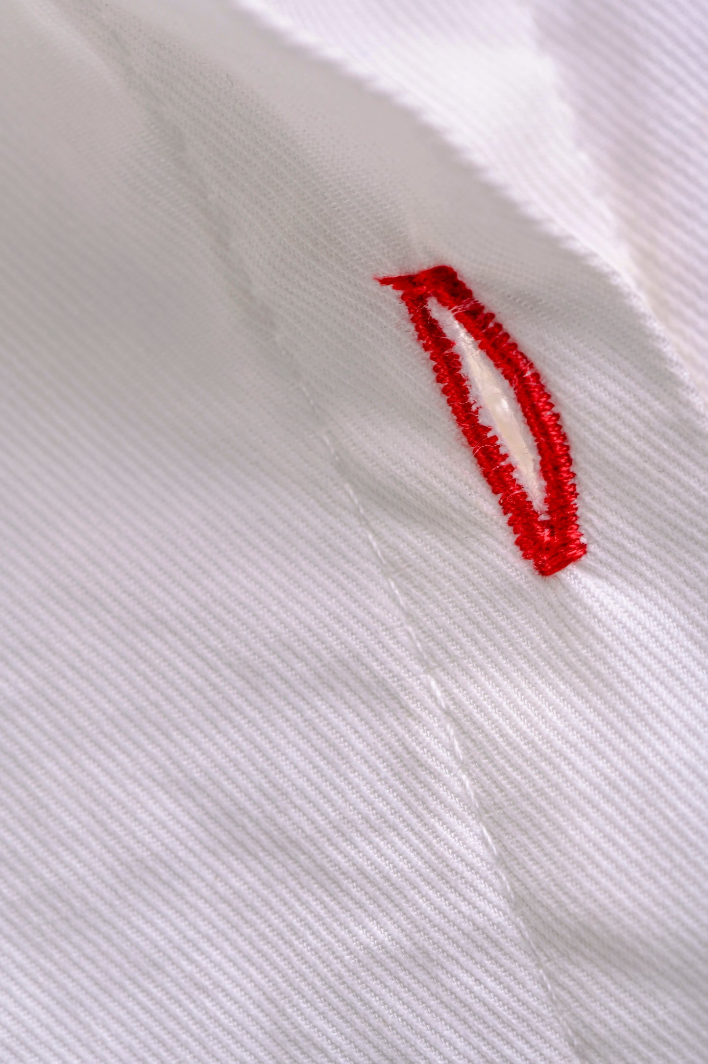 CAMISA MANGA LARGA CORAZONES MINI BORDADOS